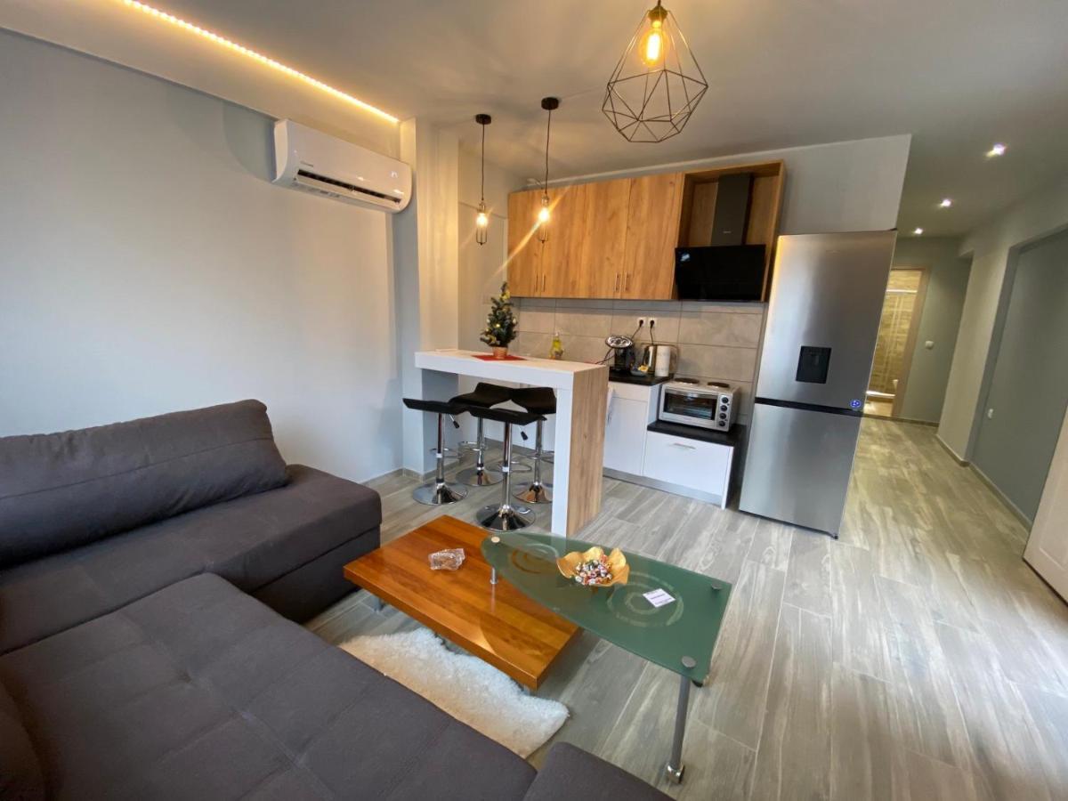 Alexandras Cozy Apartment Ioannina Exterior photo